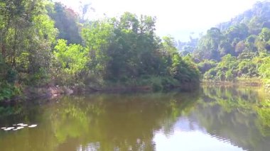 Güneydoğu Asya 'daki Khao Lak Amphoe Takua Pa Phang Nga Tayland' daki yağmur ormanlarındaki tropik buhar nehri gölü ve gölet..