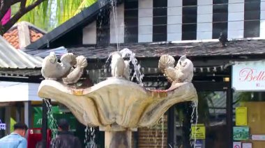 Khao Lak Phang Nga Tayland 05. Şubat 2020 Güneydoğu Asya 'daki Khao Lak Amphoe Takua Pa Phang Nga Tayland' daki turistik caddede güzel bir çeşme..