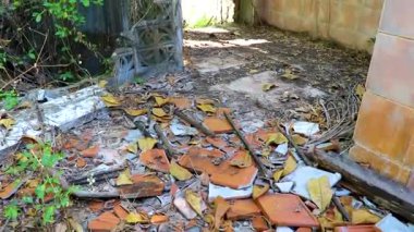 Güneydoğu Asya 'da Khao Lak Amphoe Takua Pa Phang Nga Tayland' daki tropikal ormanda tsunami tarafından yok edilen terk edilmiş Budist tapınağını keşfedin..