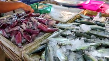 Güneydoğu Asya 'daki Khao Lak Amphoe Takua Pa Phang Nga Tayland' da balık satışı kanlı ve iğrenç..