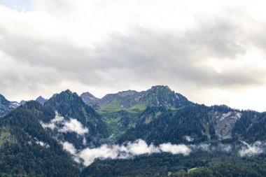 Dağ manzarası dağları yeşil tarlalar orman bulutları ve mavi gökyüzü Alpler Vorarlberg Avusturya.