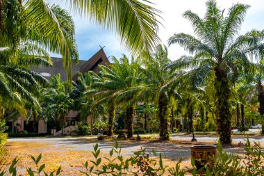 Khao Lak Phang Nga Tayland 05. Şubat 2020 Tipik renkli Tayland evleri Khao Lak Amphoe Takua Pa Phang Nga Tayland 'da tropikal doğada otel daireleri.
