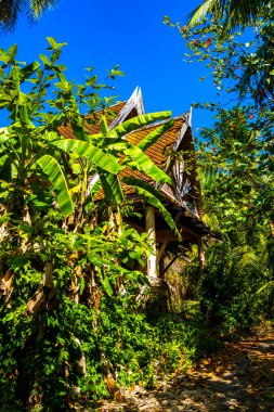 Güneydoğu Asya 'da, Khao Lak Amphoe Takua Pa Phang Nga Tayland' daki palmiye yapraklarının arkasındaki tropikal ormanda tsunami tarafından yıkılan terk edilmiş bir Budist tapınağı..