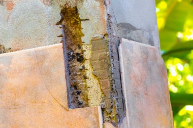 Güneydoğu Asya 'daki Khao Lak Amphoe Takua Pa Phang Nga Tayland' daki tropikal ormanda bulunan tsunami tarafından yok edilen terk edilmiş Budist tapınağının ayrıntıları..