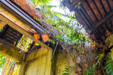 Güneydoğu Asya 'da Khao Lak Amphoe Takua Pa Phang Nga Tayland' daki tropikal ormanda tsunami tarafından yok edilen terk edilmiş bir Budist tapınağı..