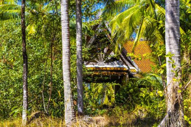 Güneydoğu Asya 'da, Khao Lak Amphoe Takua Pa Phang Nga Tayland' daki palmiye yapraklarının arkasındaki tropikal ormanda tsunami tarafından yıkılan terk edilmiş bir Budist tapınağı..