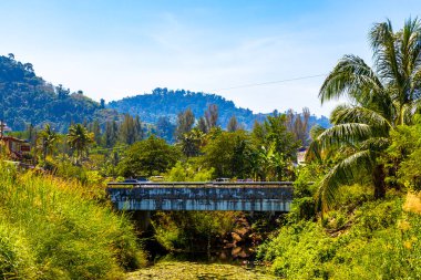 Güneydoğu Asya 'da tropikal orman doğasından Khao Lak Amphoe Takua Pa Phang Nga Tayland plajına giden köprü..