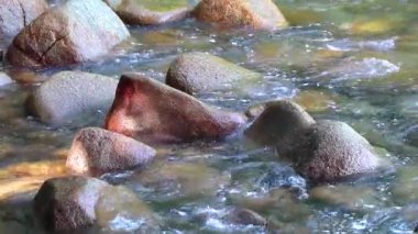 Khao Lak Lak Lam Ru Ulusal Parkı Khuekkhak Phang Tayland 'da berrak mavi turkuaz su dalgası ve kaya kayaları ile güzel tropikal orman doğal manzarası..