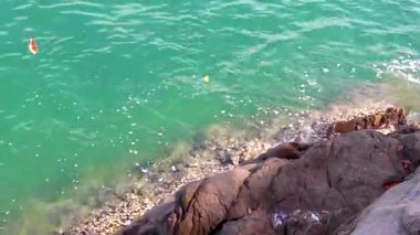 Khao Lak Lak Lam Ru Ulusal Parkı Khuekkhak Phang Tayland 'da berrak mavi turkuaz su dalgası ve kaya kayaları ile güzel tropikal orman doğal manzarası..