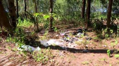 Güneydoğu Asya 'daki Khao Lak Amphoe Takua Pa Phang Nga Tayland' da atık plastik ve kirlilik.
