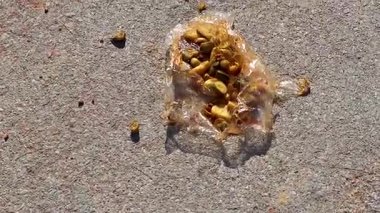 Plastiğe sarılı tuhaf açısal yiyecekler Güneydoğu Asya 'da Khao Lak Amphoe Takua Pa Phang Nga Tayland' da yatıyor..