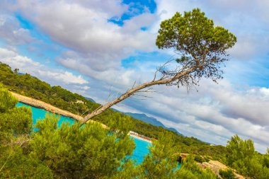 İspanya 'nın Balearic Adaları Mallorca Majorca bölgesindeki Santany' deki Mondrago Doğal Parkı 'ndaki uçurum ve sahillerdeki Akdeniz doğası