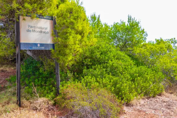 İspanya 'nın Balearic Adaları Mallorca Majorca bölgesindeki Santany' deki Mondrago Doğal Parkı 'ndaki uçurum ve sahillerdeki Akdeniz doğası