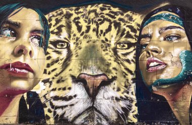 Centro Historico Mexico City 10 numara. Şubat 2021 Mükemmel renkli insanlar ve hayvan grafitileri ve resim resimleri Centro Historico City Mexico 'da şehir sokaklarında.