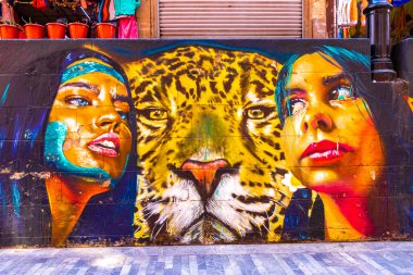 Centro Historico Mexico City 10 numara. Şubat 2021 Mükemmel renkli insanlar ve hayvan grafitileri ve resim resimleri Centro Historico City Mexico 'da şehir sokaklarında.