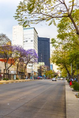 Centro Historico Mexico City 10 numara. Şubat 2021 Yolları İnsanlar trafik trafik ve modern binalar Centro Historico Mexico City.