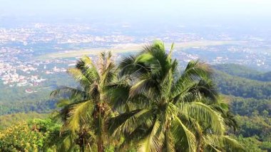 Güney Asya 'daki Chiang Mai Amphoe Mueang Chiang Mai Tayland' ın panoramik manzarası ve tropikal ormanı.
