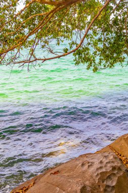 Güzel tropikal orman doğa doğa deniz kıyısı Khao Lak Lak Ru Ulusal Parkı Khuekkhak Amphoe Takua Pa Phang Nga Tayland 'da dalgalar ve plajlar.