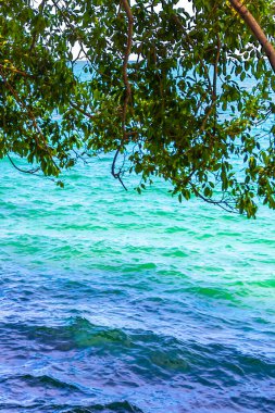 Güzel tropikal orman doğa doğa deniz kıyısı Khao Lak Lak Ru Ulusal Parkı Khuekkhak Amphoe Takua Pa Phang Nga Tayland 'da dalgalar ve plajlar.