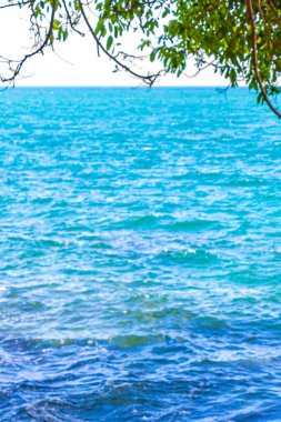 Güzel tropikal orman doğa doğa deniz kıyısı Khao Lak Lak Ru Ulusal Parkı Khuekkhak Amphoe Takua Pa Phang Nga Tayland 'da dalgalar ve plajlar.