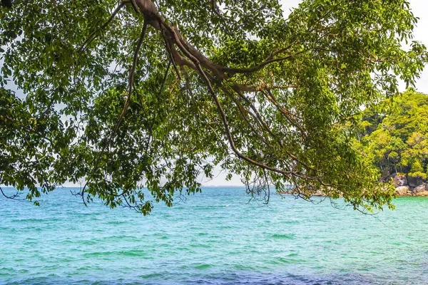 Güzel tropikal orman doğa doğa deniz kıyısı Khao Lak Lak Ru Ulusal Parkı Khuekkhak Amphoe Takua Pa Phang Nga Tayland 'da dalgalar ve plajlar.