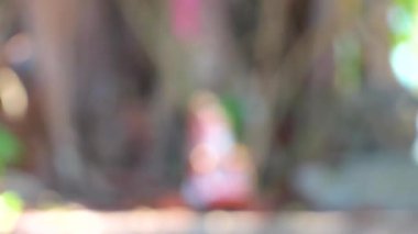 Çin heykeli heykeli Wat Phadung Tham Phothi tapınağında Khao Lak Phang-nga Tayland 'da.