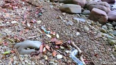 Güneydoğu Asya 'daki Khao Lak Lak Ru Ulusal Parkı Khuekkhak Amphoe Takua Pa Phang Nga Tayland' daki orman doğası deniz ve plajlarında çöp ve kirlilik.