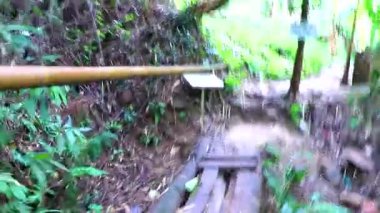 Tropikal orman ve orman yağmur ormanları Chiang Mai Amphoe Mueang Mai Tayland 'daki dağ zirvesine kadar doğa yolunda yürüyüş yapar..