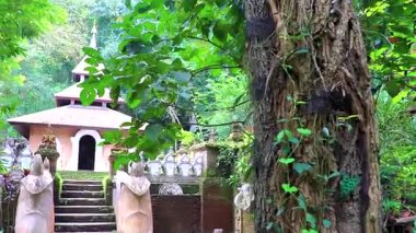 Chiang Mai Amphoe Mueang Chiang Mai Tayland 31 numara. Ekim 2018 Wat Pha Lat Tapınağı. Chiang Mai Tayland 'da tropikal doğa ormanlarında mimari yapı inşa ediliyor..