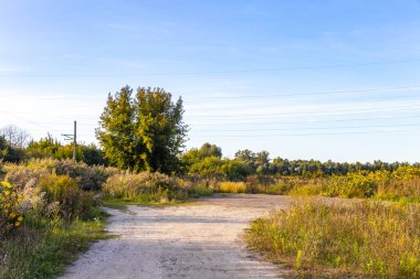 Leninskiy Rayon Brest İlçe Brest Bölgesi Belarus 'ta bir orman yolu ve patika üzerinde kırsal köyde doğa yürüyüşü.