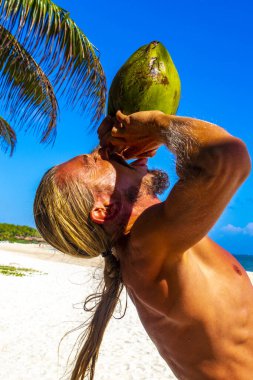 Playa del Carmen Quintana Roo Meksika sahilinde hindistan cevizi içen bir adam..