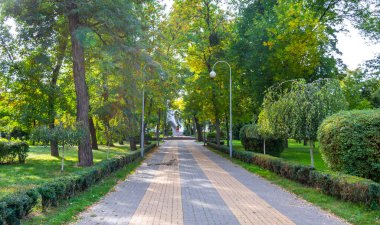 Brest Brest Bölgesi Belarus 20. Eylül 2020 Brest City Park yeşil doğa çiçekleri Leninskiy Rayon Brest Bölgesi 'nde sanat ve manzara heykelleri yapıyor..