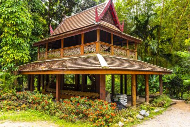 Chiang Mai Amphoe Mueang Chiang Mai Tayland 31 numara. Ekim 2018 Wat Pha Lat Tapınağı. Chiang Mai Tayland 'da tropikal doğa ormanlarında mimari yapı inşa ediliyor..