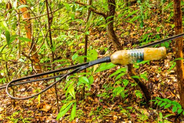 Chiang Mai Amphoe Mueang Chiang Mai Tayland 31 numara. 2018 Ekim Kablo, Güney Asya 'daki Chiang Mai Tayland' da yapıştırıcı bant ve plastik şişe ile izole edilmiştir..