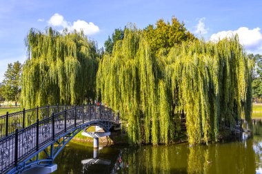 Brest Brest Bölgesi Belarus 20. Eylül 2020 Brest City Park yeşil doğa manzarası Leninskiy Rayon Brest İlçe Brest Bölgesi Belarus 'ta güzel bir nehir gölü gölü ve köprüsü ile.