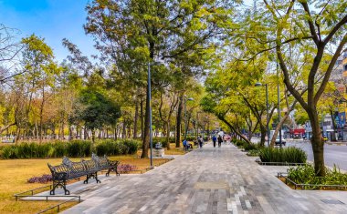 Centro Historico Mexico City 09. Şubat 2021 Alameda Central Park mermer zemin patikaları Centro Historico Mexico City 'de.