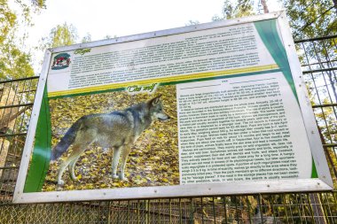 Bielaviezskaja Pusca Ulusal Parkı Brest Bölgesi, Belarus 25. Eylül 2020 Bialowieza Ormanı Kamyanyets Belarus Bölgesi 'nde vahşi doğa çitlerinde Wolf bilgi tahtası imzası..