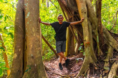 Güney Asya 'daki Chiang Mai Amphoe Mueang Mai Tayland' da Kökler Arasındaki Yol Yolu ile Büyük Tepe Ağacı olan Erkek Turist.