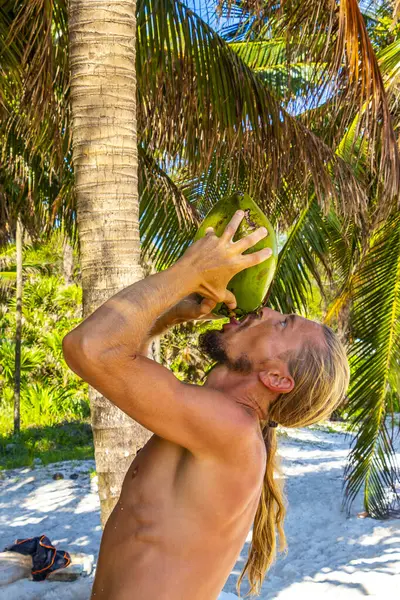 Playa del Carmen Quintana Roo Meksika sahilinde hindistan cevizi içen bir adam..