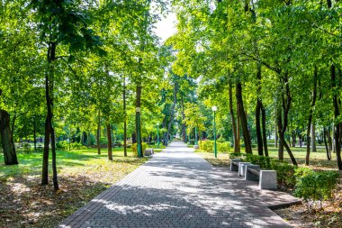 Brest Brest Bölgesi Belarus 20. Eylül 2020 Brest City Park yeşil doğa çiçekleri Leninskiy Rayon Brest Bölgesi 'nde sanat ve manzara heykelleri yapıyor..