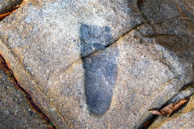 Xenolith Kaya Taşı Magma 'ya hapsolmuş Doğa Sahil Denizi' nde ve Khao Lak Lam Ru Ulusal Parkı 'nda Khuekkhak Takua Pa Phang Nga Tayland' da.