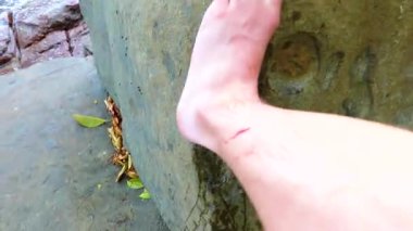 Güneydoğu Asya 'da Khao Lak Lak Ru Ulusal Parkı Khuekkhak Amphoe Takua Pa Phang Nga Tayland' da Deniz Kıyısı ve Sahilinde Kayalıklarda Yaralı Bir Adam Yaralandı.