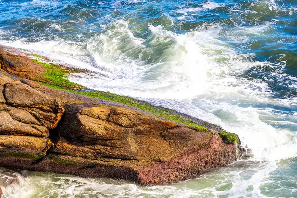 Rio de Janeiro Eyaleti Rio de Janeiro Brezilya 'da, Urca Red Beach Tropikal Cenneti Mavi Turkuaz Su Dalgaları Palmiye Ağaçları Kayalık Tepeler Kayalık Tepeler Sahil Kumu ve Beyaz Sahil Kumu.
