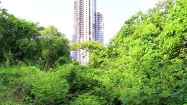 Pattaya Chon Buri Tayland 27 numara. Ekim 2018 Büyük gökdelen inşa gökdelen otel kulesi harabe şehir silueti ve tropik orman arkasında Pattaya Tayland.