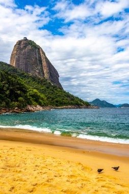 Rio de Janeiro Eyaleti Rio de Janeiro Brezilya 'da Urca Red Beach Tropikal Cenneti Mavi Turkuaz Su Dalgaları Palmiye Ağaçları Kayalıkları Şekerli Tepe Kayalıkları Kayalıkları Kayalıkları.