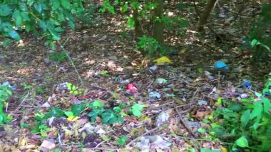 Pattaya Chon Buri Tayland 2018 Çevre Kirliliği Doğadaki Plastik Çöp Pattaya Bang Lamung Amphoe Chon Buri Tayland.