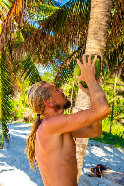 Playa del Carmen Quintana Roo Meksika sahilinde hindistan cevizi içen bir adam..