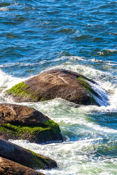 Rio de Janeiro Eyaleti Rio de Janeiro Brezilya 'da, Urca Red Beach Tropikal Cenneti Mavi Turkuaz Su Dalgaları Palmiye Ağaçları Kayalık Tepeler Kayalık Tepeler Sahil Kumu ve Beyaz Sahil Kumu.