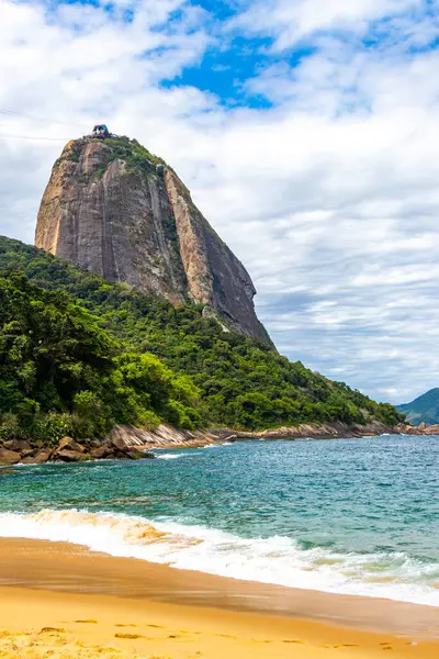 Rio de Janeiro Eyaleti Rio de Janeiro Brezilya 'da Urca Red Beach Tropikal Cenneti Mavi Turkuaz Su Dalgaları Palmiye Ağaçları Kayalıkları Şekerli Tepe Kayalıkları Kayalıkları Kayalıkları.