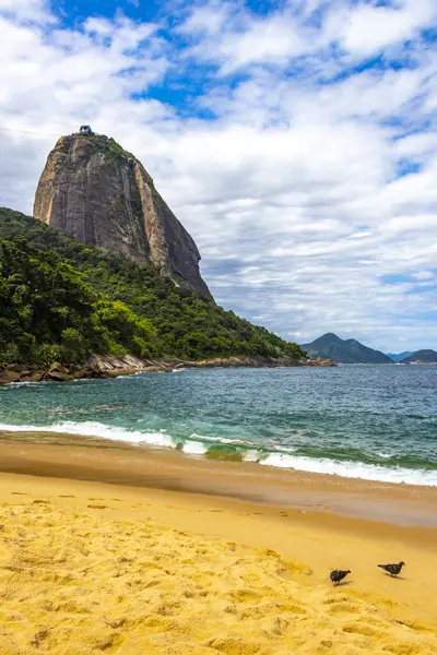 Rio de Janeiro Eyaleti Rio de Janeiro Brezilya 'da Urca Red Beach Tropikal Cenneti Mavi Turkuaz Su Dalgaları Palmiye Ağaçları Kayalıkları Şekerli Tepe Kayalıkları Kayalıkları Kayalıkları.